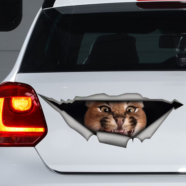 Brown Caracal Cat 3D Vinyl Car Decal Stickers CCS2971