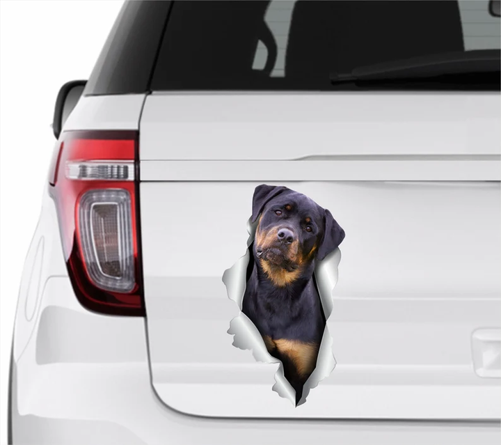 Rottweiler Dog 3D Vinyl Car Decal Stickers CCS3101