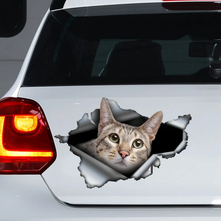 Gray Savannah Cat 3D Vinyl Car Decal Stickers CCS2973