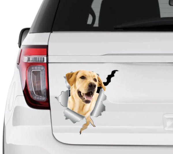 Labrador Retriever Dog 3D Vinyl Car Decal Stickers CCS3392