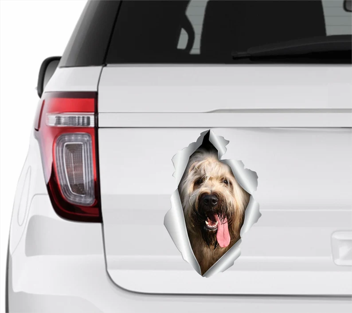 Briard Dog 3D Vinyl Car Decal Stickers CCS3103