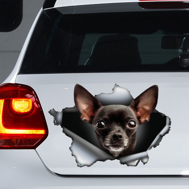 Black Chihuahua DogVinyl Car Decal Stickers CCS3193