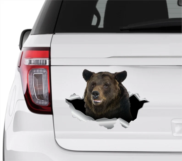 Brown Bear 3D Vinyl Car Decal Stickers CCS3391
