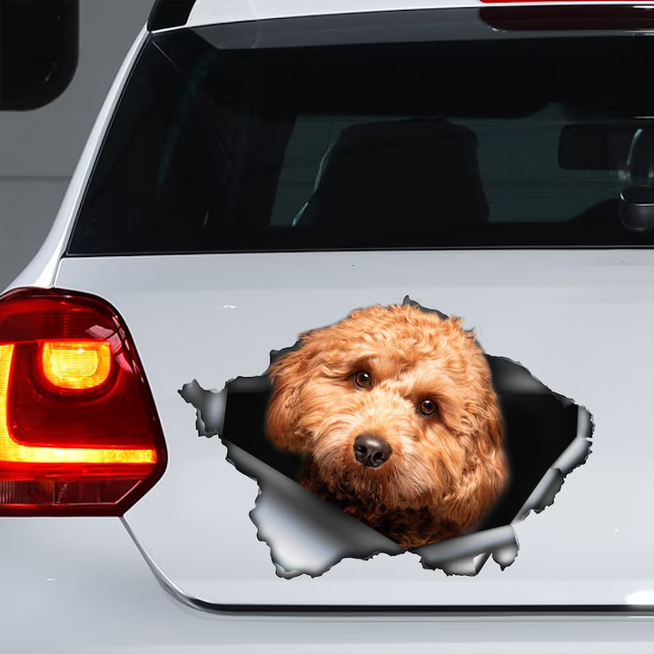 Cute Cavadoodle Dog Vinyl Car Decal Stickers CCS3194