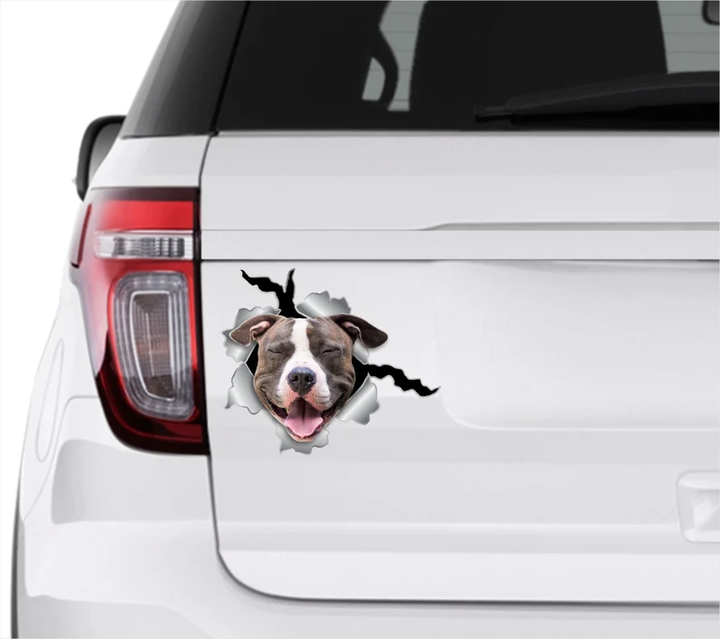 Pitt Bull Dog 3D Vinyl Car Decal Stickers CCS3390