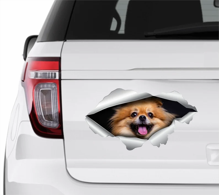 Pomeranian Dog 3D Vinyl Car Decal Stickers CCS3107