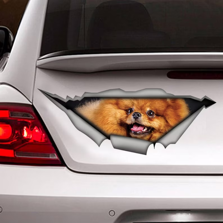 Pomeranian Dog 3D Vinyl Car Decal Stickers CCS3055