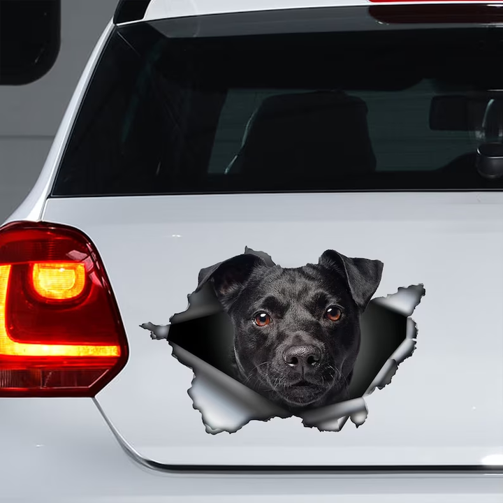 Black Patterdale Terrier Dog  Vinyl Car Decal Stickers CCS3200