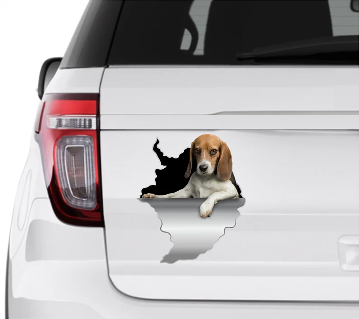 Beagle Dog 3D Vinyl Car Decal Stickers CCS3379