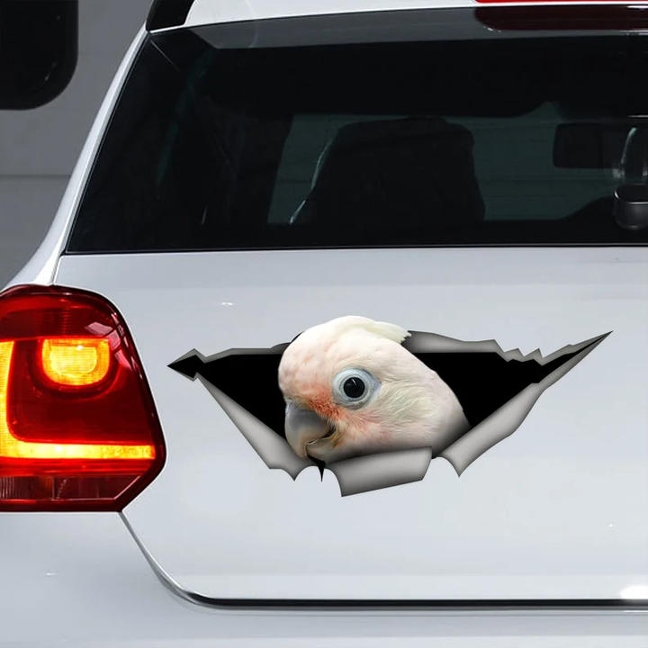 White Goffins Cockatoo Bird 3D Vinyl Car Decal Stickers CCS2906