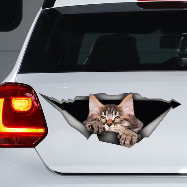 Kitten Maine Coon Cat 3D Vinyl Car Decal Stickers CCS2981
