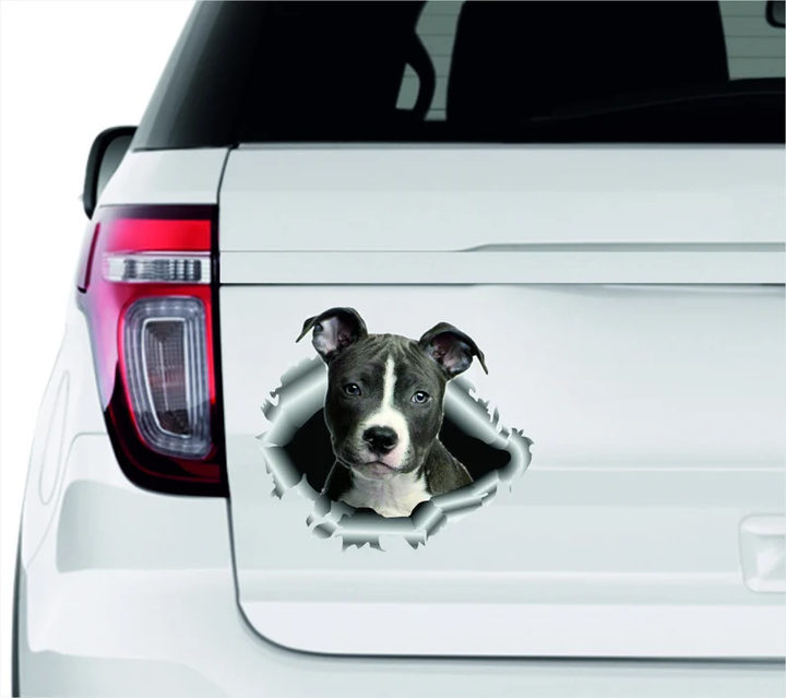 American Bulldog Dog 3D Vinyl Car Decal Stickers CCS3371