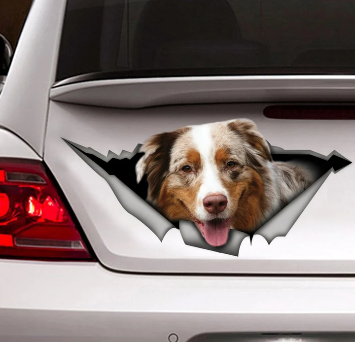 Australian Shepherd Dog 3D Vinyl Car Decal Stickers CCS3123