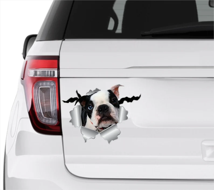 Funny Boston Dog 3D Vinyl Car Decal Stickers CCS3370