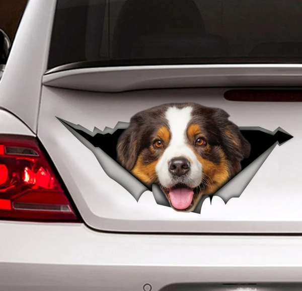 Brown Australian Shepherd Dog 3D Vinyl Car Decal Stickers CCS3124