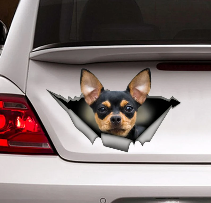 Black Tan Chihuahua Dog 3D Vinyl Car Decal Stickers CCS3126