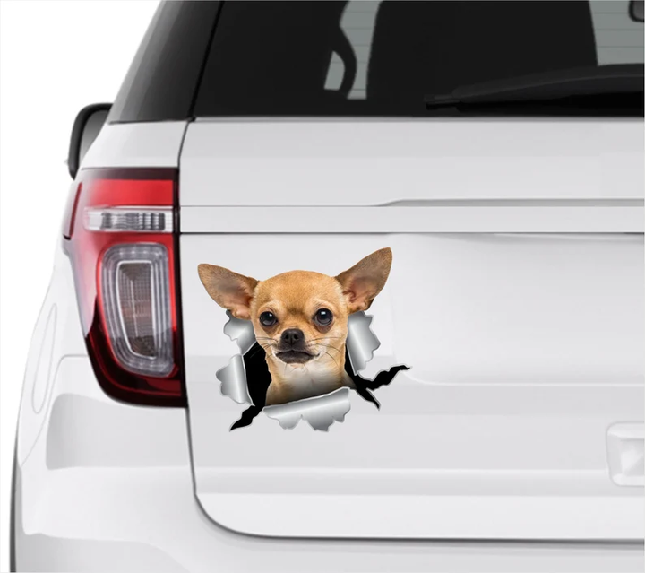 Growling Chihuahua Dog 3D Vinyl Car Decal Stickers CCS3411