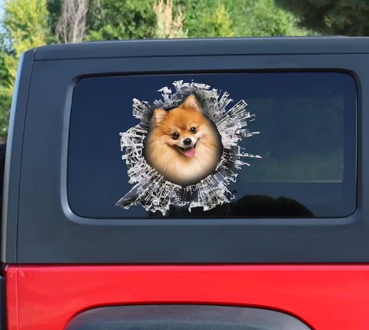 Pomeranian Dog 3D Vinyl Car Decal Stickers CCS3261