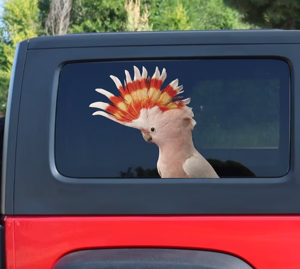 Major Mitchell Cockatoo Parrot 3D Vinyl Car Decal Stickers CCS2908