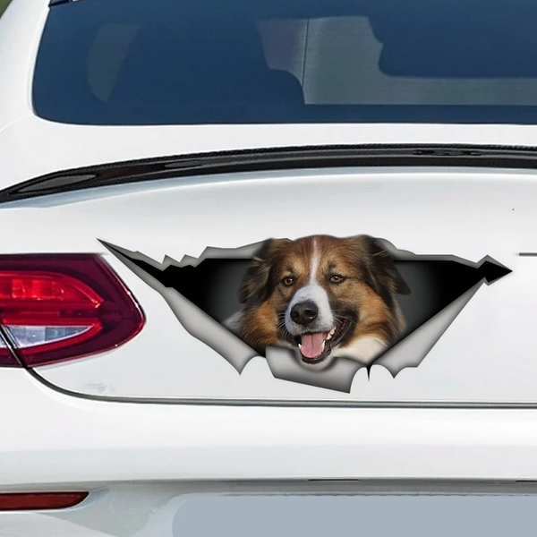 English Shepherd Dog3D Vinyl Car Decal Stickers CCS3228