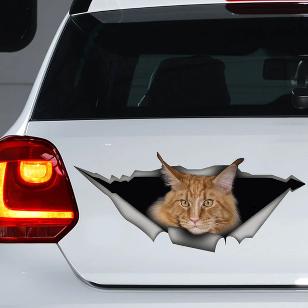 Yellow Maine Coon Cat 3D Vinyl Car Decal Stickers CCS2983