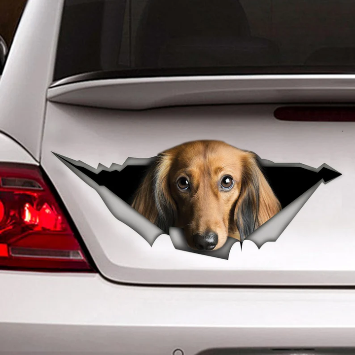 Red Long Haired Dachshund Dog 3D Vinyl Car Decal Stickers CCS3058