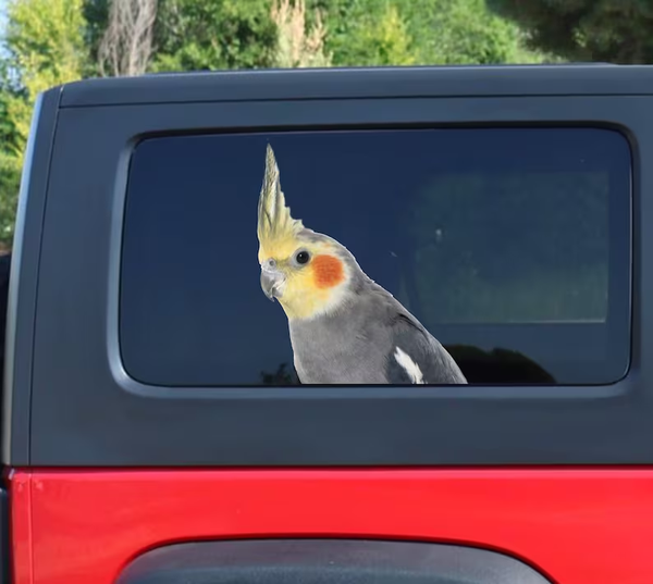 Cockatiel Parrot 3D Vinyl Car Decal Stickers CCS2909