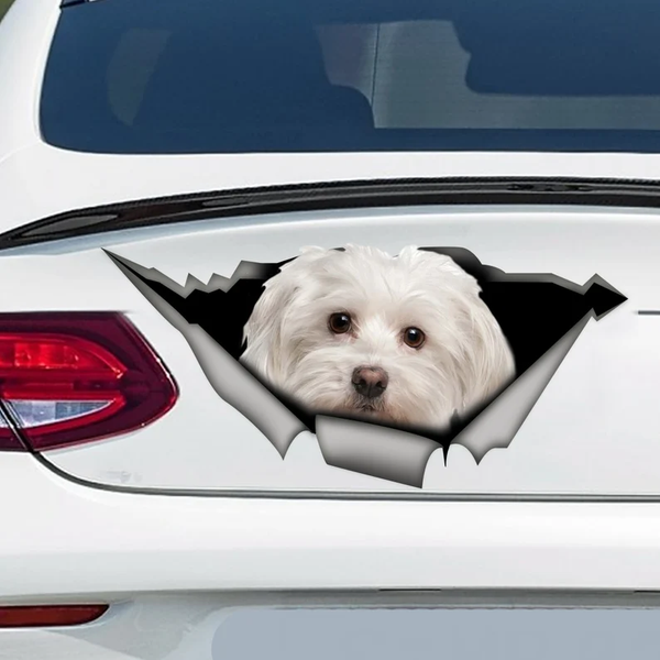 White Maltese Dog 3D Vinyl Car Decal Stickers CCS3144