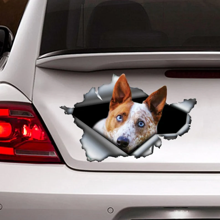 Red Heeler Dog  Vinyl Car Decal Stickers CCS3237