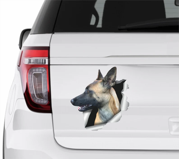 Belgian Shepherd Dog 3D Vinyl Car Decal Stickers CCS3239