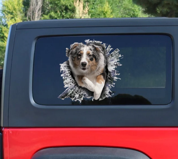 Australian Shepherd Dog 3D Vinyl Car Decal Stickers CCS3008