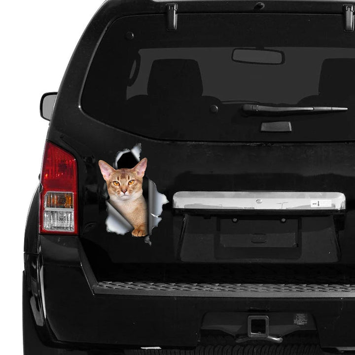 Abyssinian Cat Cracked Car Decal Sticker | Waterproof | PVC Vinyl | CCS2692-Gerbera Prints.