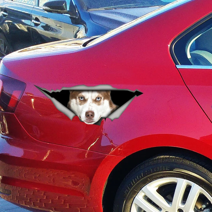 Brown Husky Dog Car Decal Cracked Car Decal Sticker | Waterproof | PVC Vinyl | CCS2620-Colorful-Gerbera Prints.