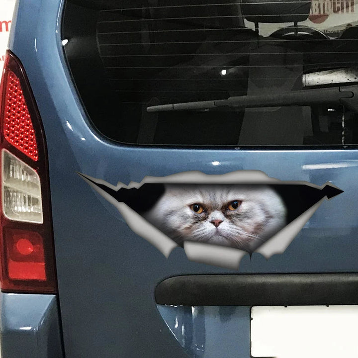 Funny Persian Cat Car Decal Cracked Car Decal Sticker | Waterproof | PVC Vinyl | CCS2644-Gerbera Prints.