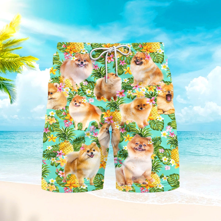 Funny Pomeranian Dog Pineapple Tropical Beach Shorts For Men
