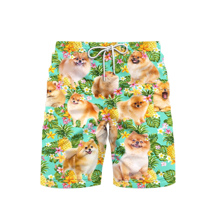 Funny Pomeranian Dog Pineapple Tropical Beach Shorts For Men