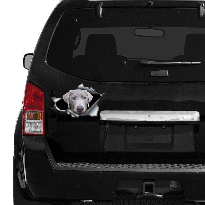 Silver Lab Grey Labrador Pet Cracked Car Decal Sticker | Waterproof | PVC Vinyl | CCS2500