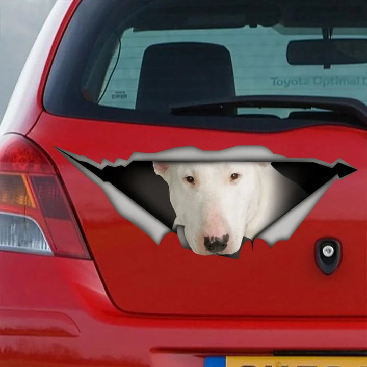 White Bull Terrier Dog Cracked Car Decal Sticker | Waterproof | PVC Vinyl | CCS2712-Gerbera Prints.